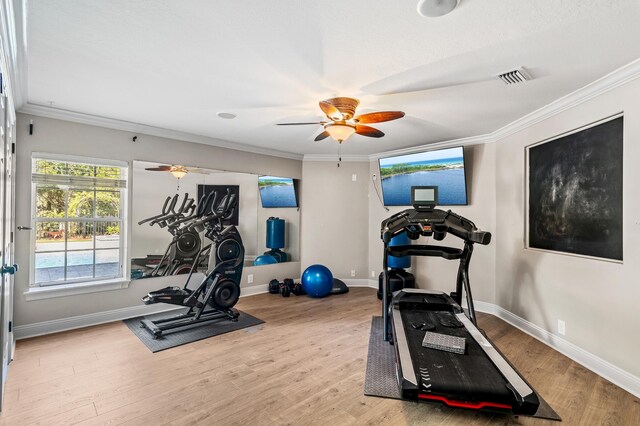 exercise room with crown molding, ceiling fan, and light wood-type flooring