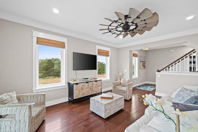 living room featuring ceiling fan, crown molding, and dark wood-type flooring