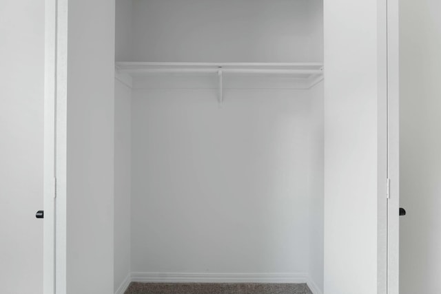 view of closet