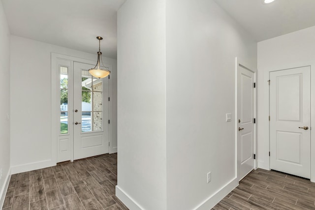 foyer entrance with wood-type flooring