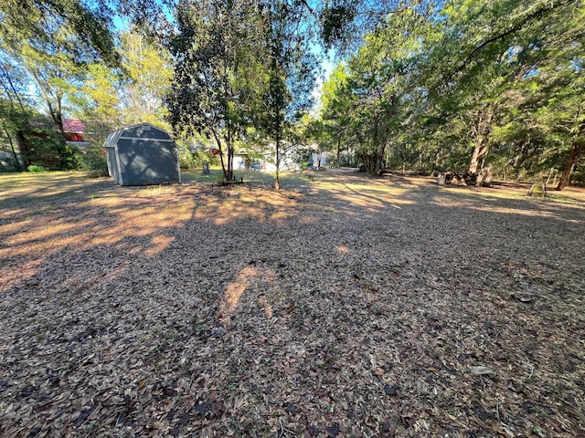 view of yard featuring a storage unit