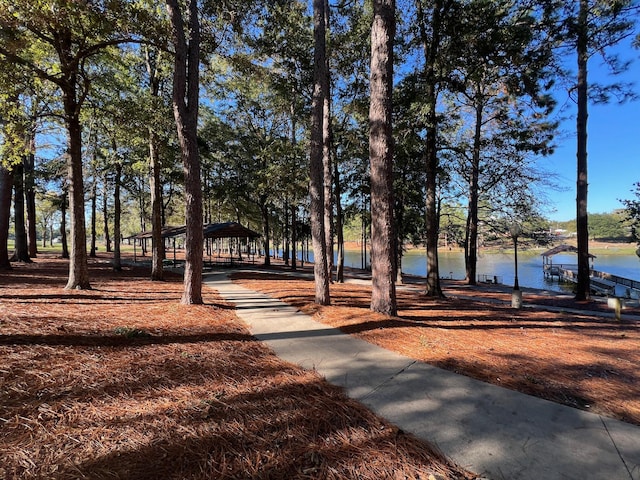 view of property's community featuring a boat dock and a water view