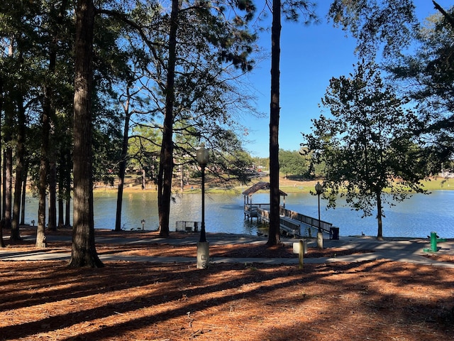 view of water feature featuring a dock