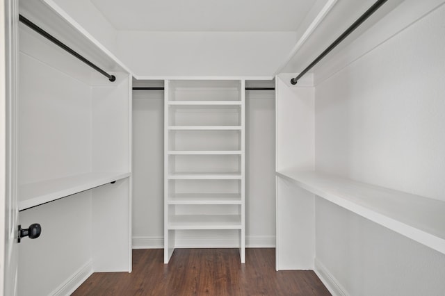 walk in closet with dark hardwood / wood-style flooring