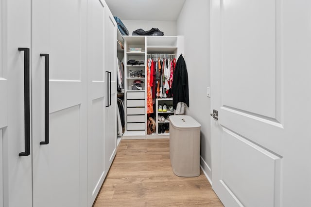 131 W Lafayette Rd, Inlet Beach, FL 32461 - spacious closet featuring light wood-style flooring