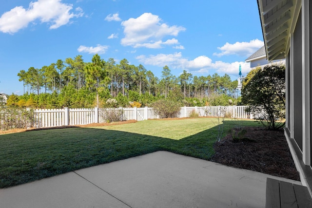 view of yard featuring a patio area