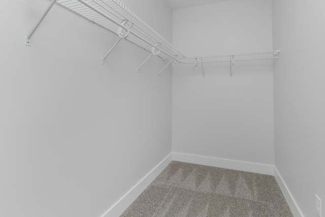 spacious closet with carpet