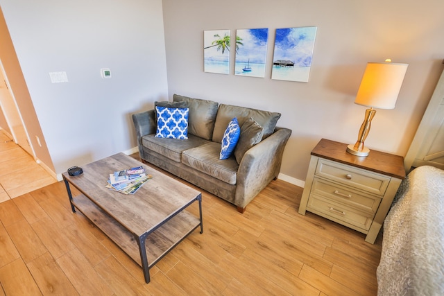 living room with light wood-type flooring