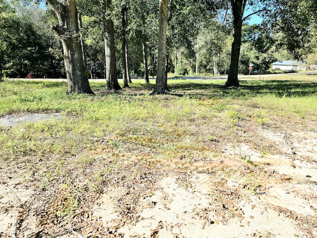 LOT14 Bayview Dr, Laurel Hill FL, 32567 land for sale