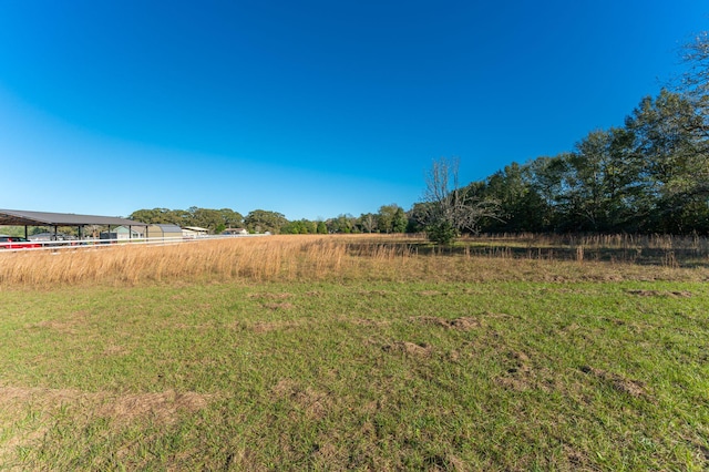 view of yard featuring a rural view