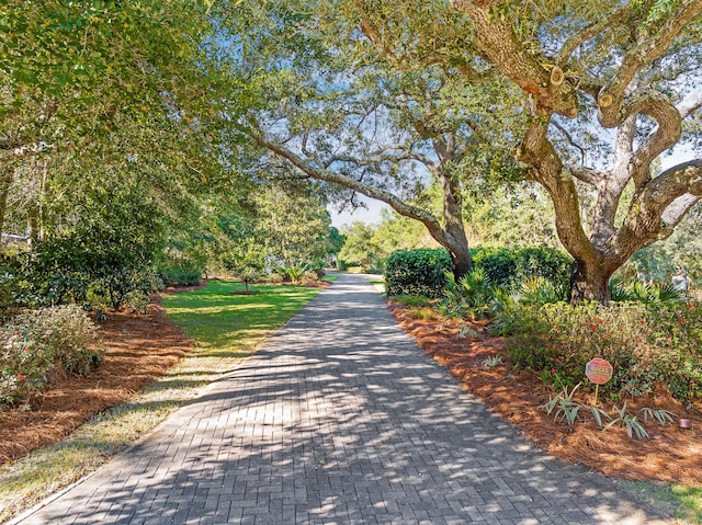 321 Calhoun Ave, Destin, FL 32541 - photo 6