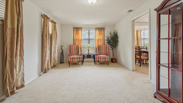 sitting room with carpet flooring