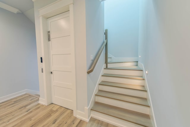 staircase featuring wood-type flooring