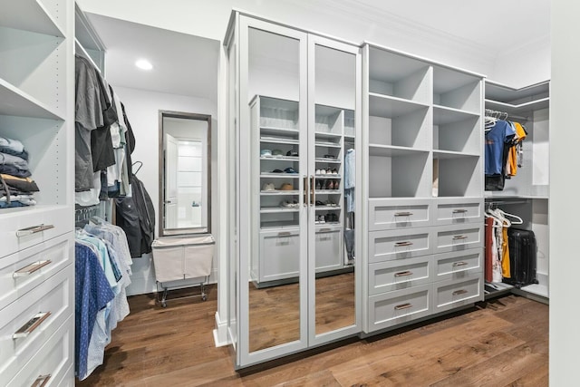 spacious closet with dark hardwood / wood-style floors