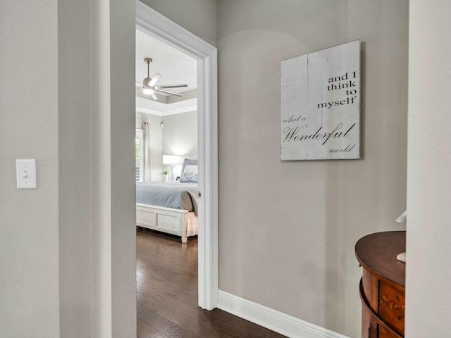 hall featuring dark hardwood / wood-style flooring