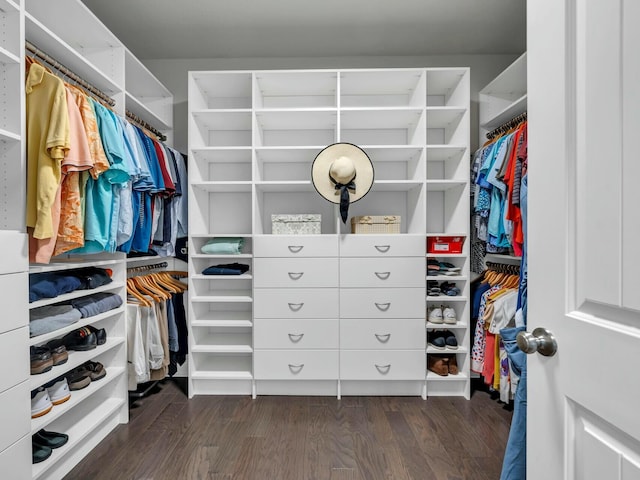 walk in closet with dark hardwood / wood-style flooring