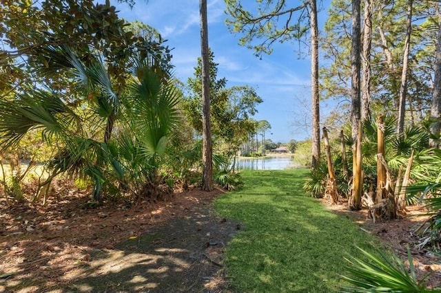 view of yard with a water view