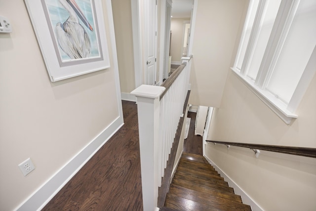 staircase featuring wood-type flooring