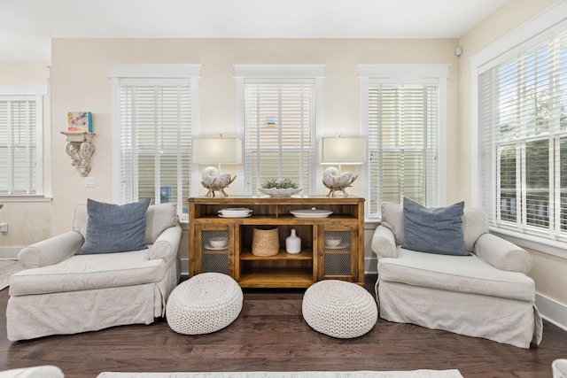 living area featuring hardwood / wood-style floors