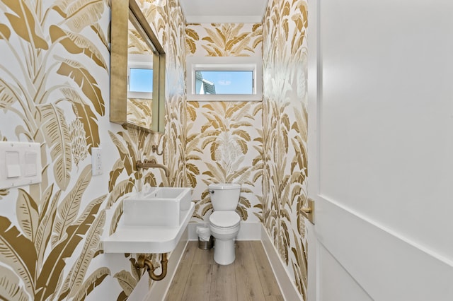 bathroom featuring hardwood / wood-style floors and toilet