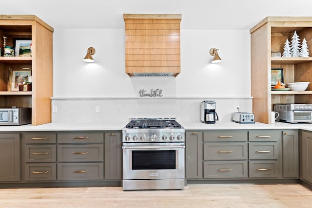 kitchen featuring gray cabinets, light hardwood / wood-style floors, and stainless steel appliances