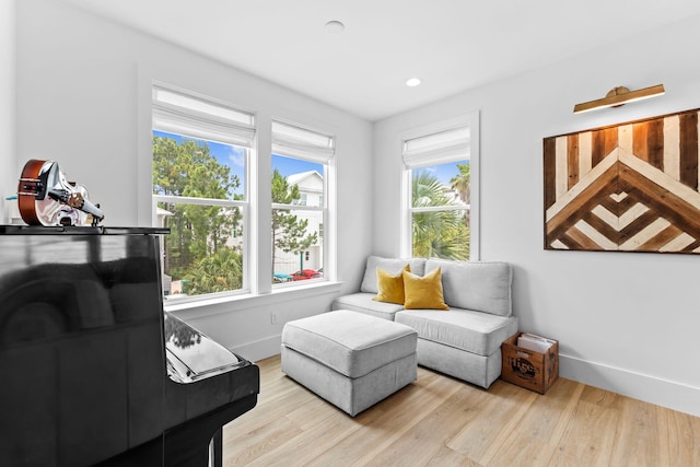 living room featuring light hardwood / wood-style flooring