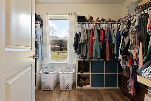 walk in closet with hardwood / wood-style floors