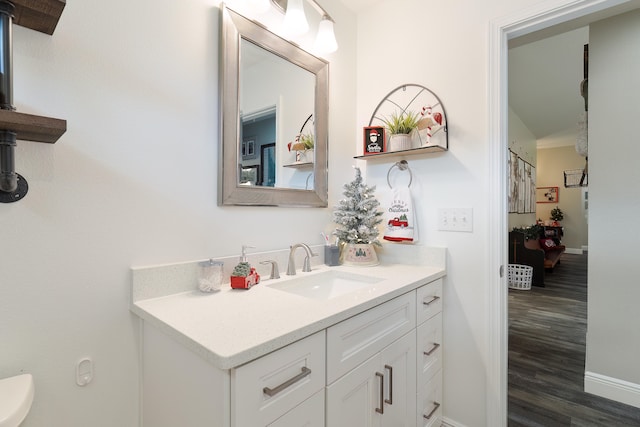 bathroom with vanity and wood-type flooring