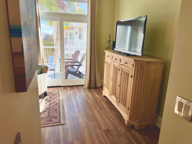 entryway with dark wood-type flooring