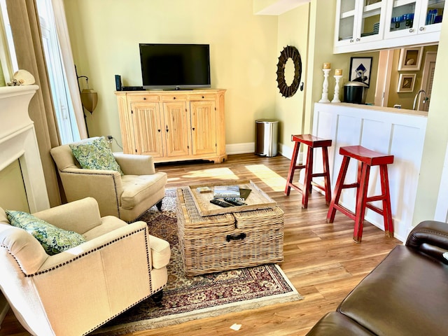 living room featuring light hardwood / wood-style floors