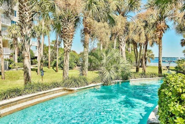 view of swimming pool with a yard