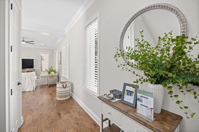 hallway featuring hardwood / wood-style flooring, a wealth of natural light, and crown molding