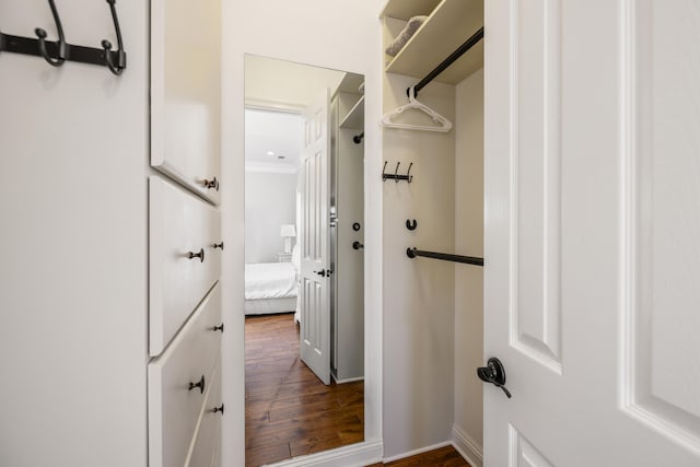 walk in closet featuring dark hardwood / wood-style floors