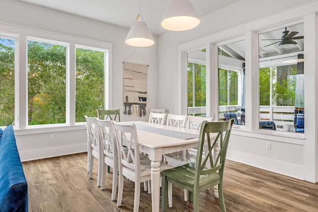 dining space featuring a wealth of natural light, hardwood / wood-style floors, and ceiling fan