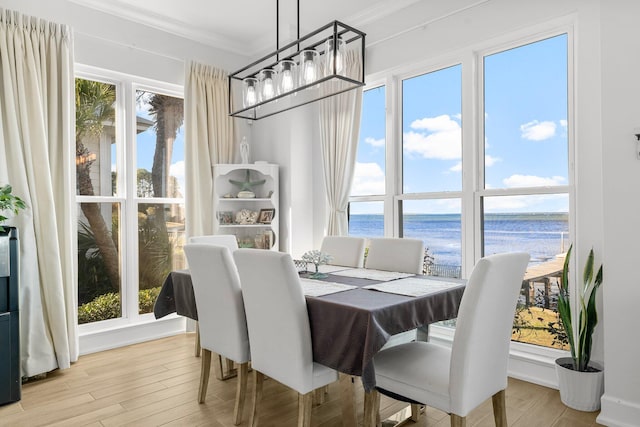 dining room featuring a water view, a wealth of natural light, and light hardwood / wood-style flooring