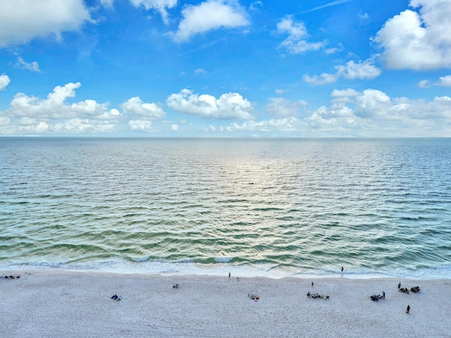 property view of water with a view of the beach