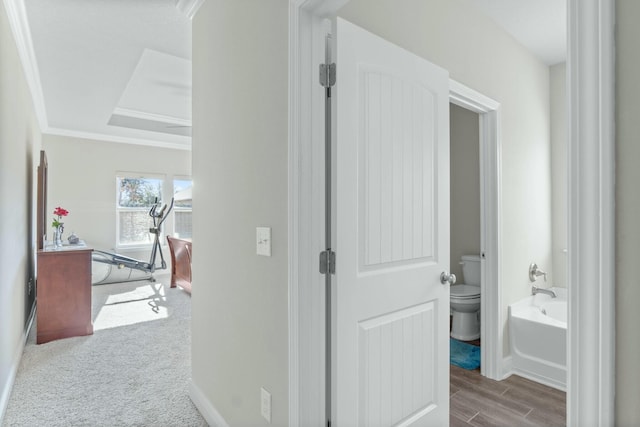 hallway featuring light carpet and ornamental molding