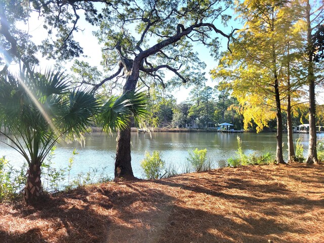 view of water feature