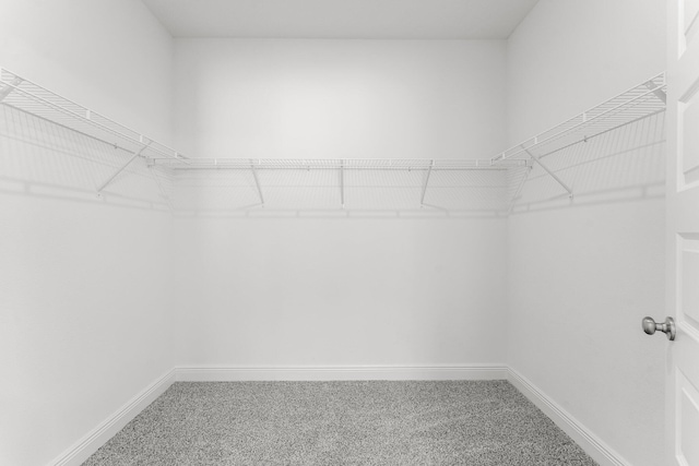 walk in closet with carpet