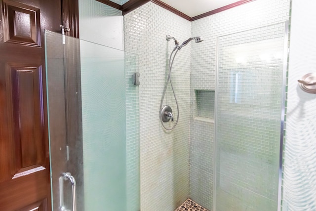 bathroom featuring a shower with door