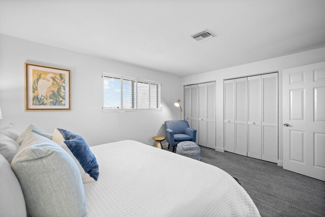 carpeted bedroom with two closets