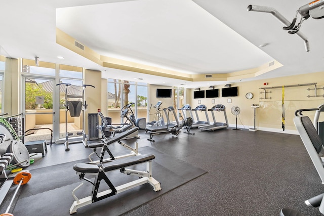 exercise room featuring a tray ceiling