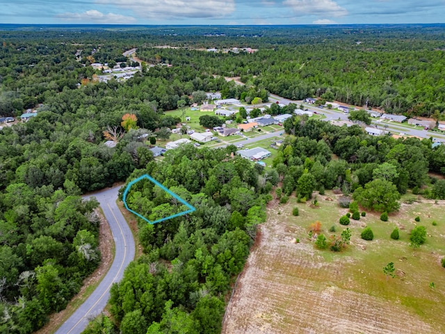 LOT12 Salem Dr, Chipley, FL 32428 - photo 3