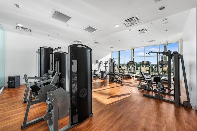 exercise room featuring hardwood / wood-style floors and floor to ceiling windows