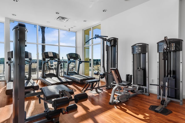 gym featuring a wall of windows and a wealth of natural light