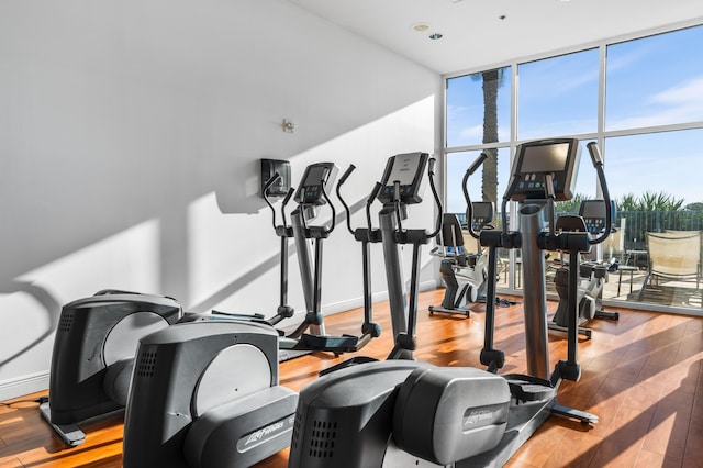 workout area featuring floor to ceiling windows and hardwood / wood-style floors