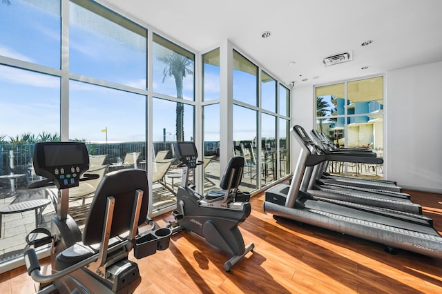 gym featuring floor to ceiling windows, hardwood / wood-style floors, and a wealth of natural light