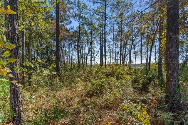 LOT18 Bayside Dr, Freeport, FL 32439 - photo 29