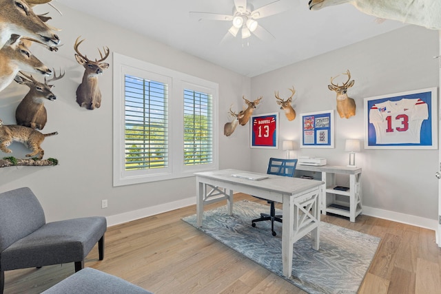 office area with ceiling fan and light hardwood / wood-style flooring