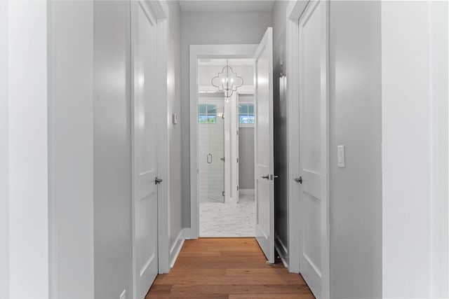 hallway featuring hardwood / wood-style floors and a notable chandelier